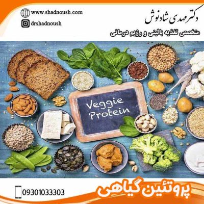 پروتئین گیاهی - دکتر مهدی شادنوش - shadnoush.com